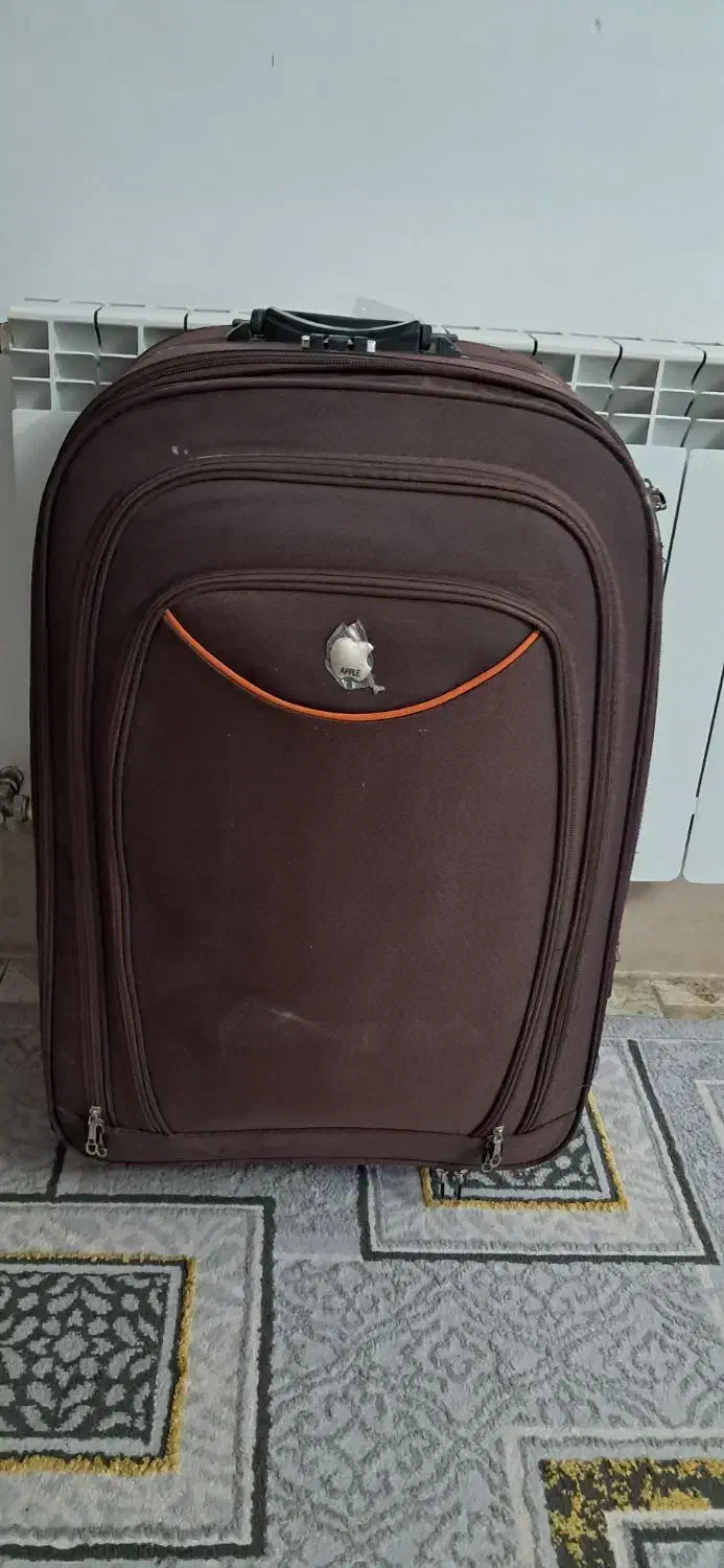 چمدون|کیف، کفش، کمربند|بیرجند, |دیوار