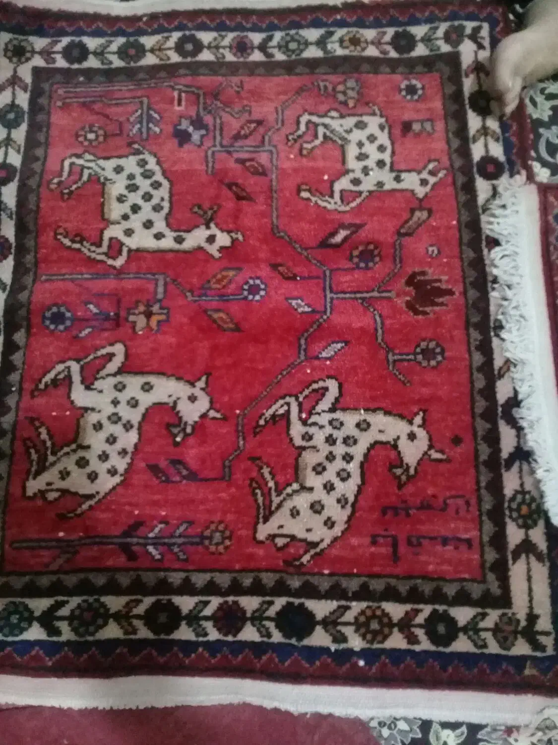 پشتی قدیمی|پشتی|قم, شهرک امام حسن|دیوار