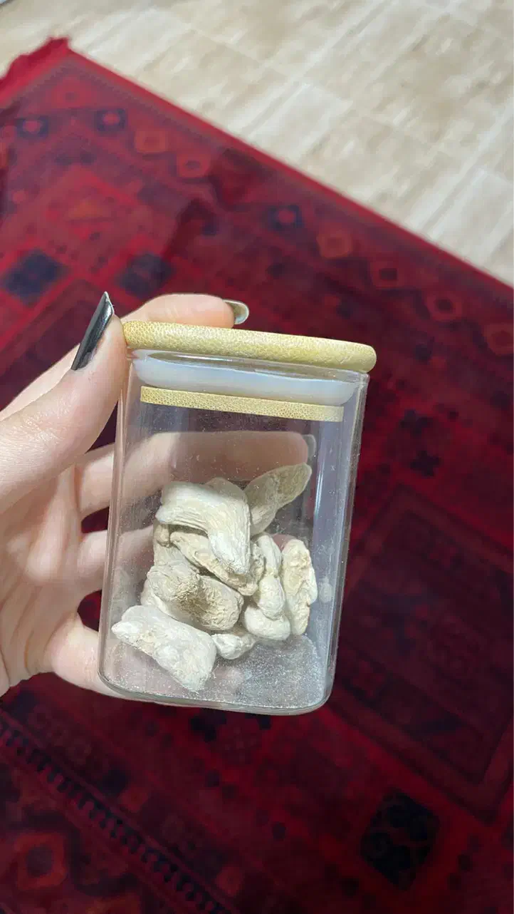 ظرف|آب‌چکان و نظم‌دهنده ظروف|بندر ماهشهر, |دیوار