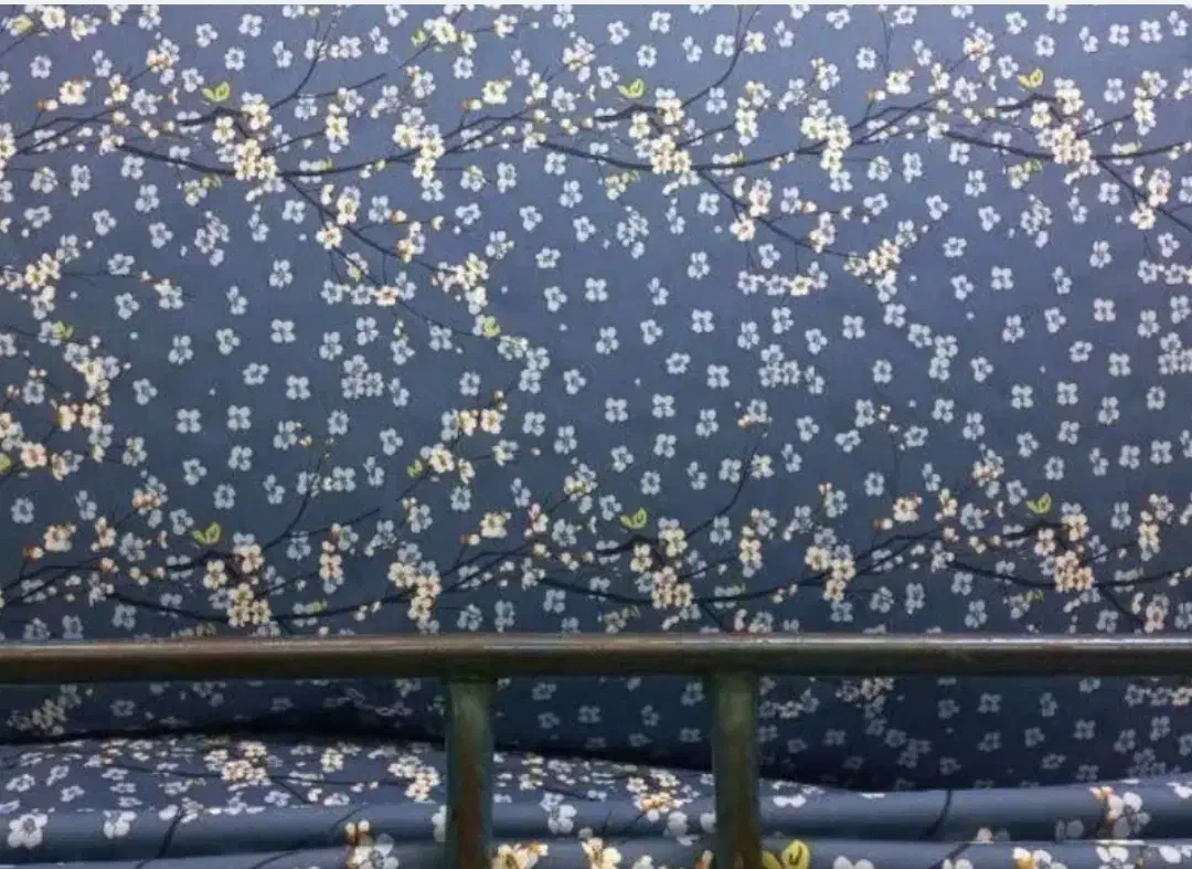 طاقه فروشی|لباس|مهریز, |دیوار