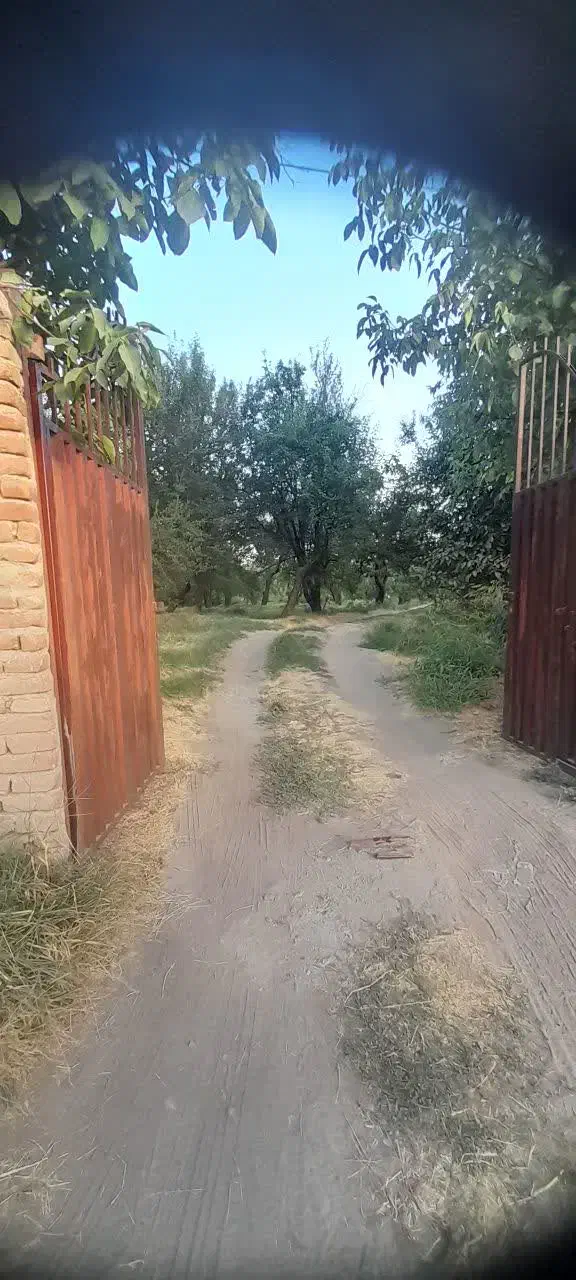 ۱۰۰ من باغ میوه|فروش دفتر صنعتی، کشاورزی، تجاری|مراغه, |دیوار