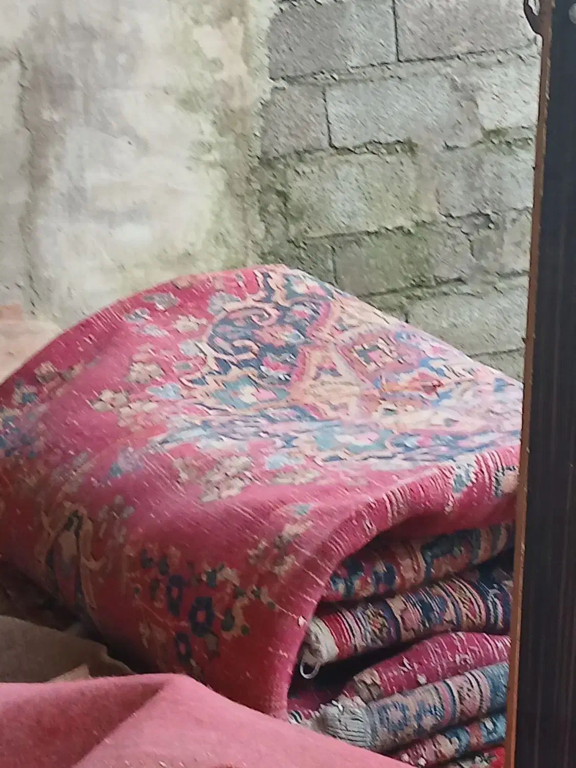 فرش دست بافت|فرش|آستانه اشرفیه, |دیوار