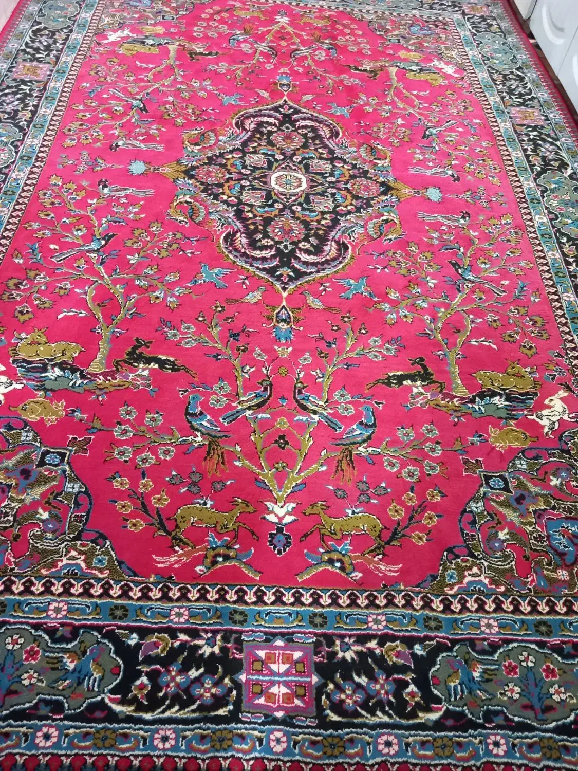 فرش ۶ متری|فرش|نورآباد, |دیوار