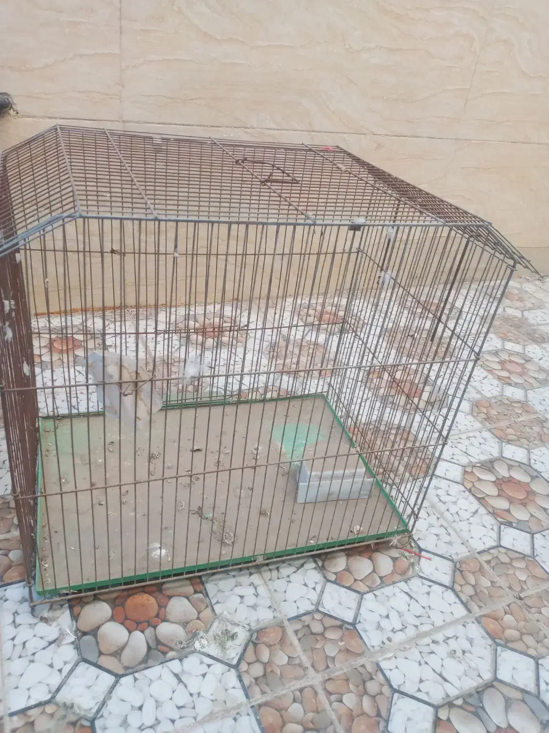 قفس شیروانی دودرب|لوازم جانبی حیوانات|زهان, |دیوار