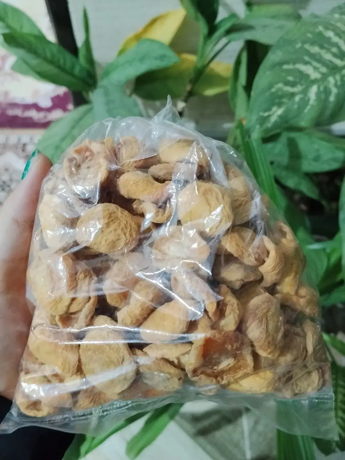 برگ زردآلوی شیرین|خوردنی و آشامیدنی|جنت, |دیوار