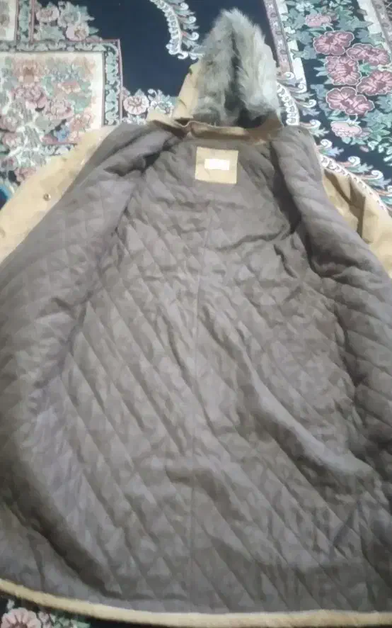 پالتو نو|لباس|کوهدشت, |دیوار