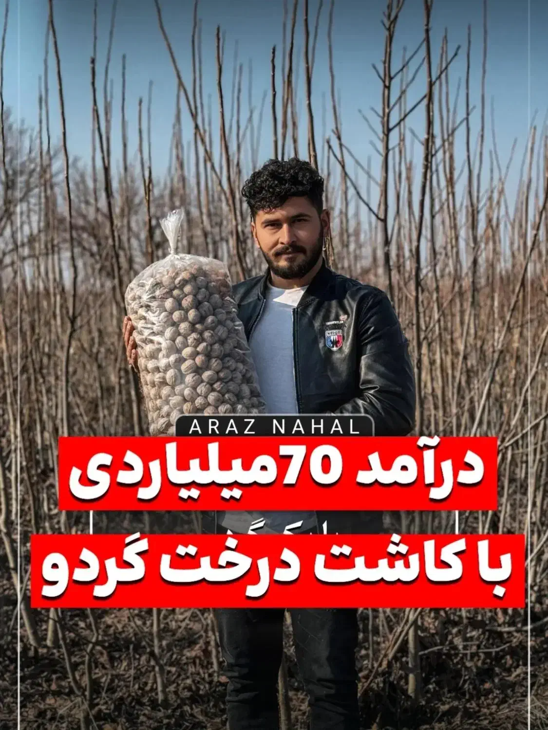 فروش نهال|خدمات باغبانی و درختکاری|امامزاده عبدالله, |دیوار