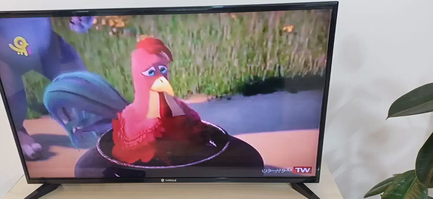 تلویزیون اسنوا ۴۹ اینچ|تلویزیون و پروژکتور|قزوین, |دیوار
