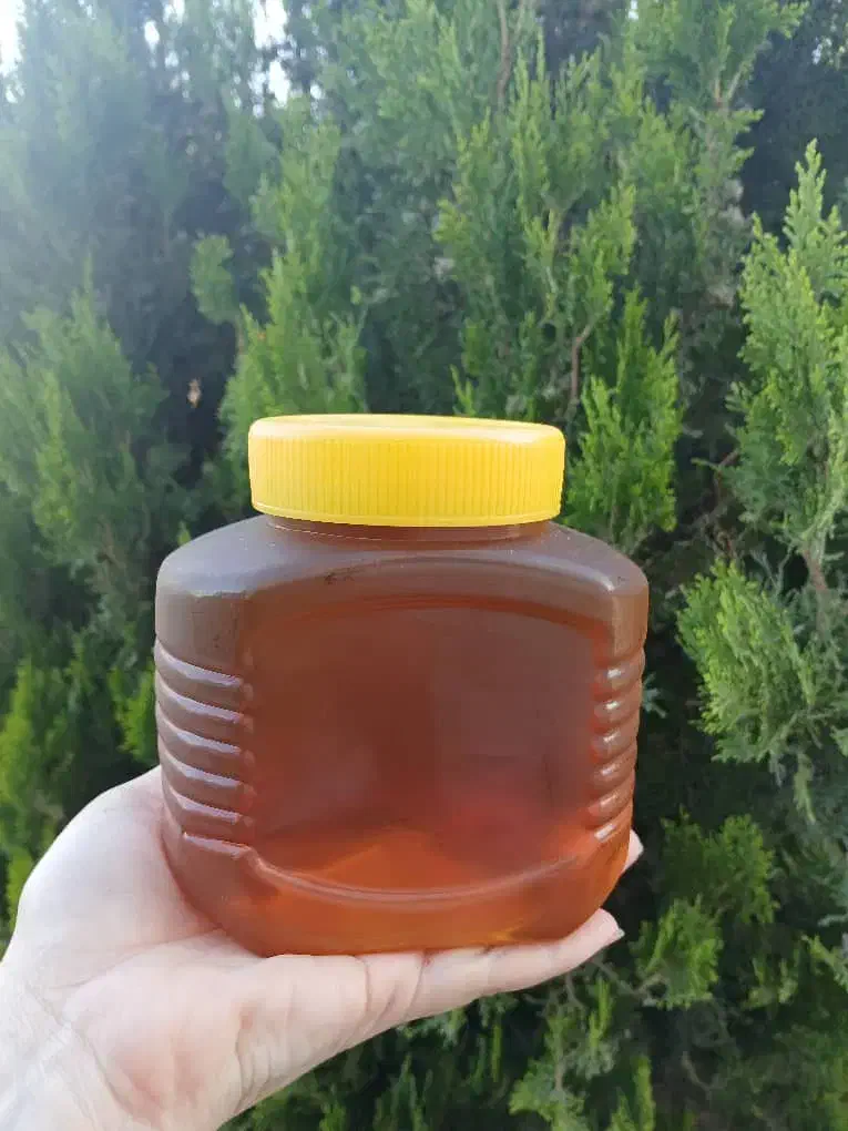 عسل تبریز|خوردنی و آشامیدنی|بندر ترکمن, |دیوار