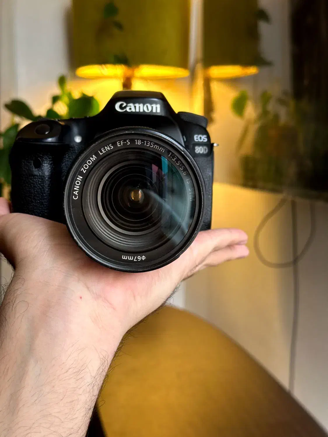 دوربین cannon 80d با لنز 135|دوربین عکاسی و فیلم‌برداری|قم, باجک دو|دیوار