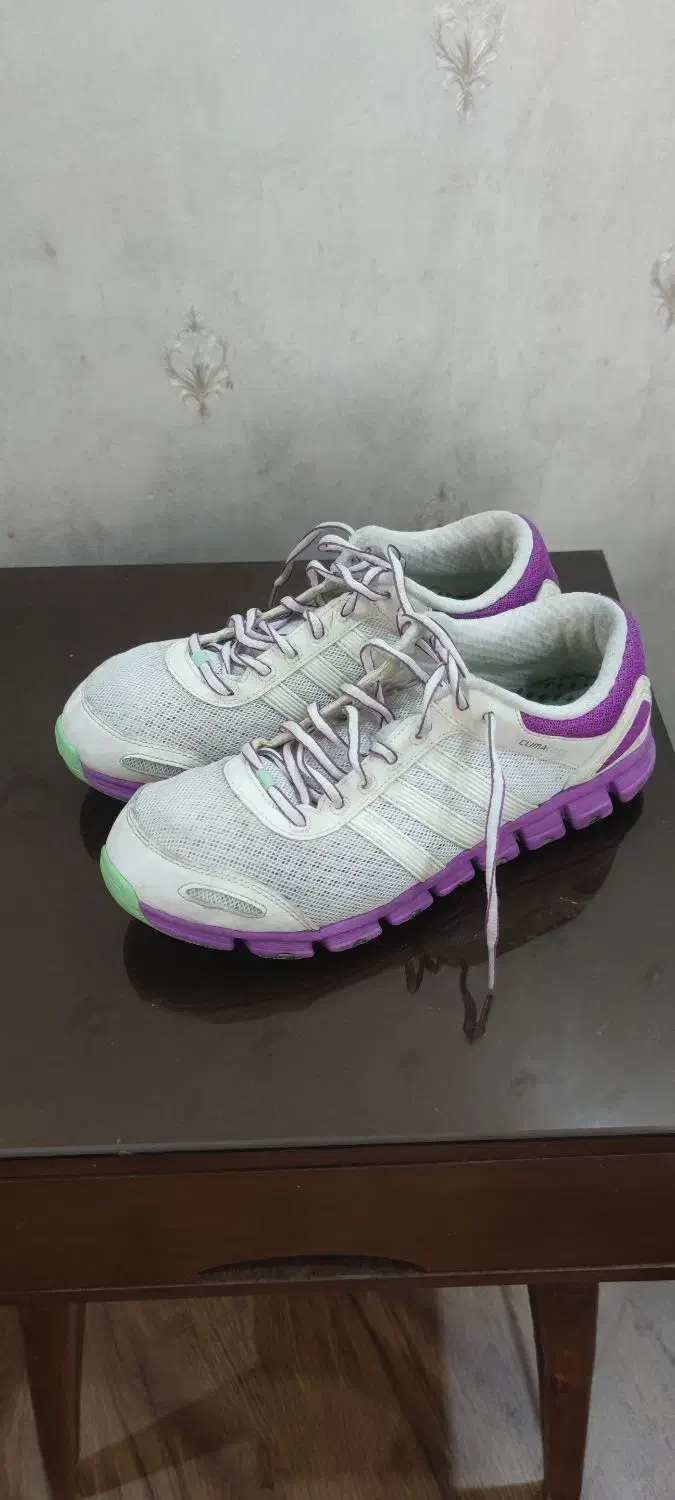 کفش و کتونیهای زنانه ادیداس ، ریبوک ، دنیلیadidas|کیف، کفش، کمربند|تهران, دانشگاه شریف|دیوار