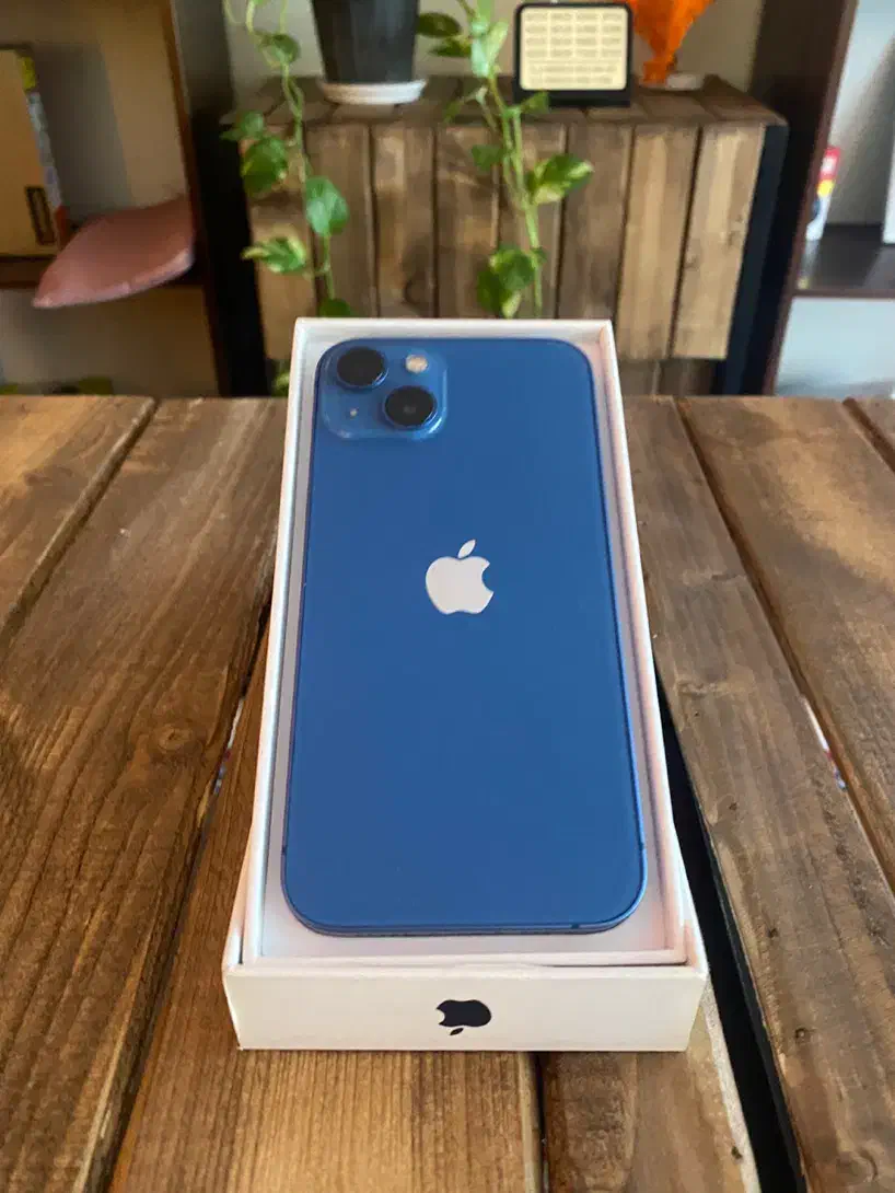 آیفون ۱۳ نرمال|موبایل|مشهد, فلسطین|دیوار