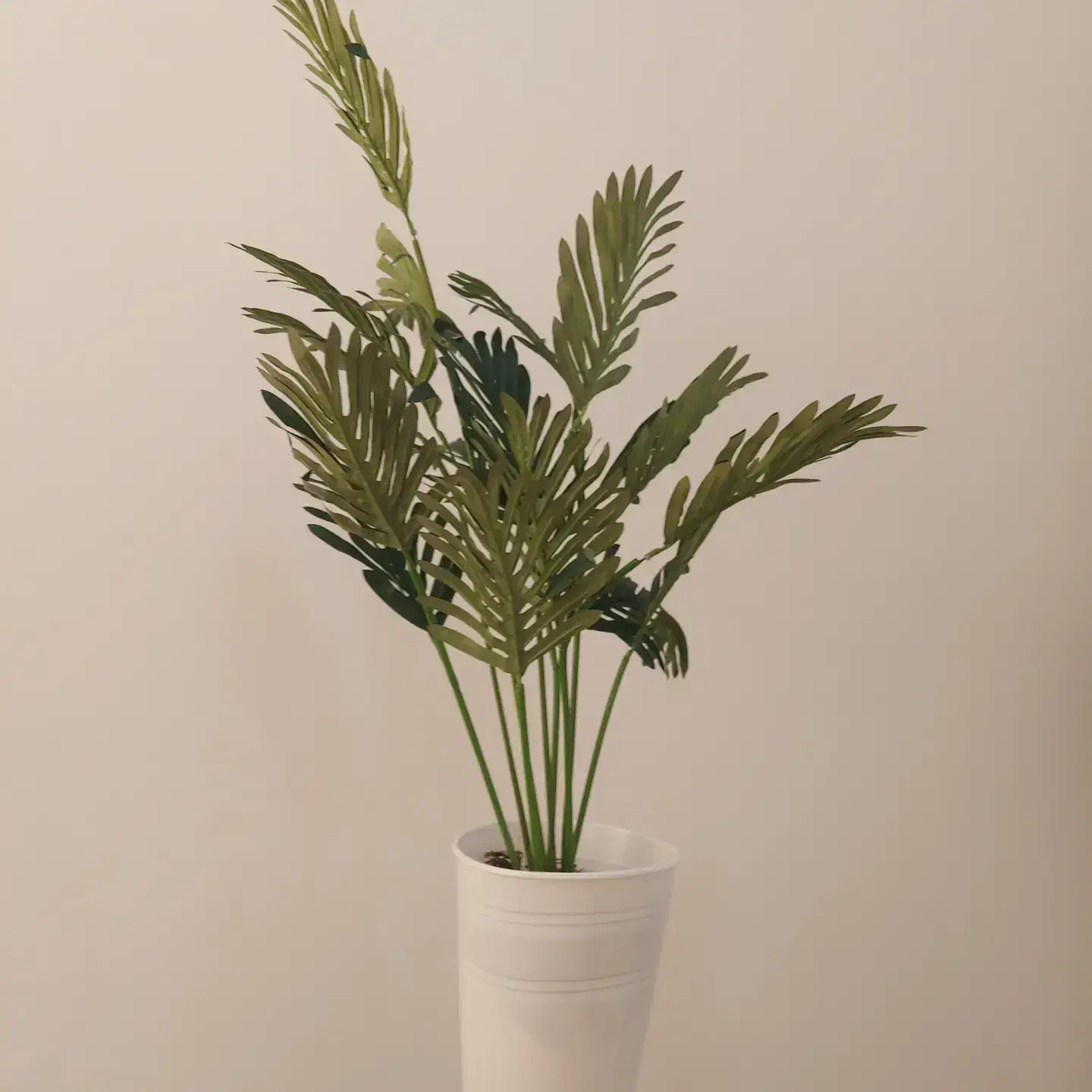 درختچه و گل مصنوعی|گل مصنوعی|فومن, |دیوار