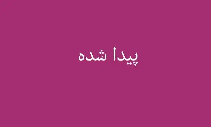 یک لنگه گوشواره پیدا شده|اشیا|شیراز, شهرک والفجر|دیوار