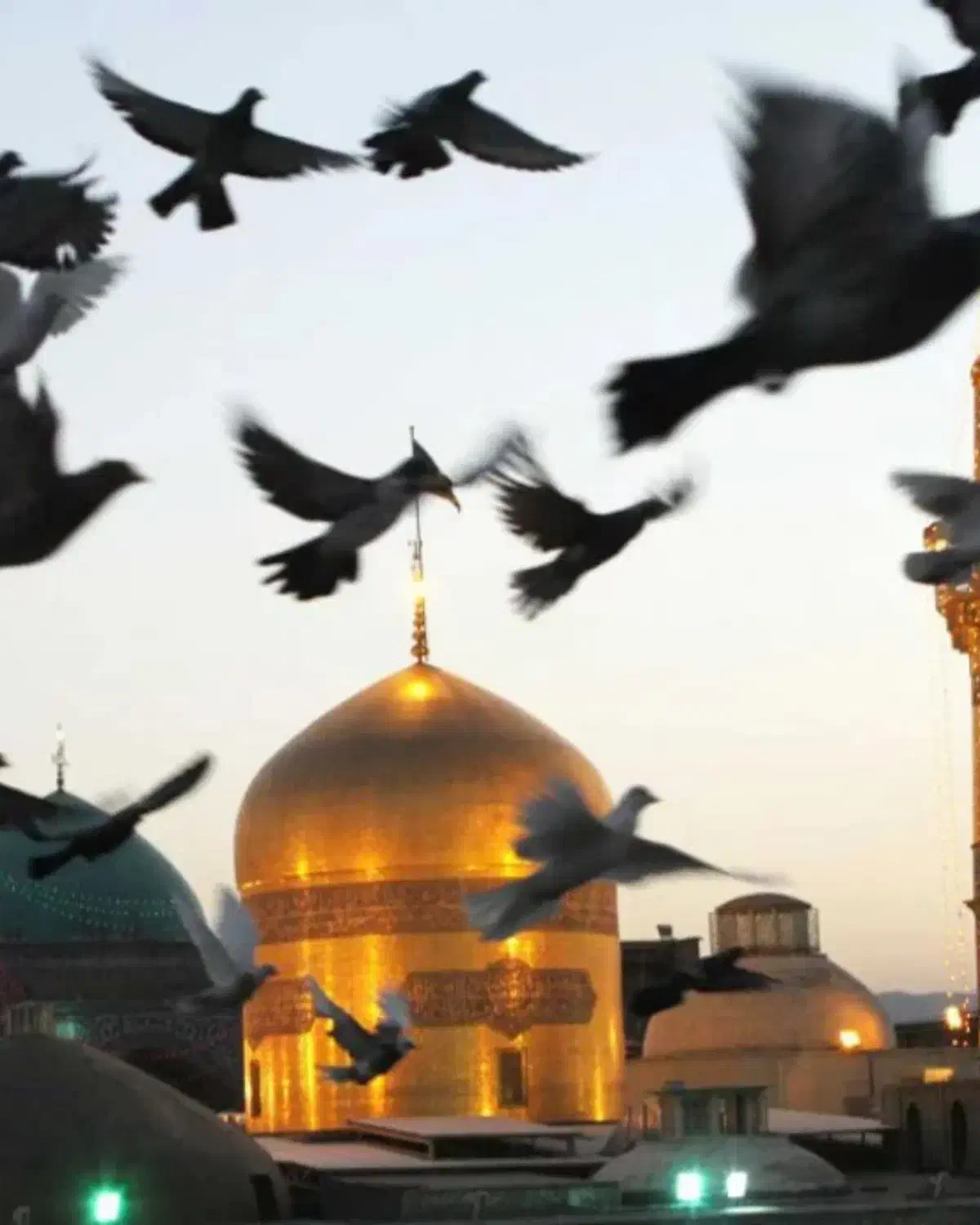 بم به مشهد اقتصادی|تور و چارتر|بم, |دیوار