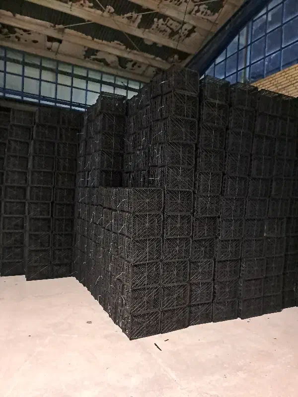 تولیدی سبد میوه و گوجه|ظروف نگهدارنده، پلاستیکی، یک‌بارمصرف|جهرم, |دیوار