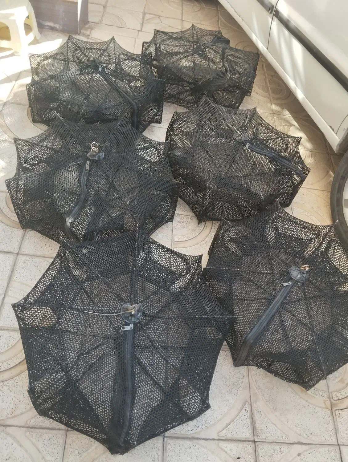 طور ماهیگیری|ماهیگیری|زنجان, |دیوار