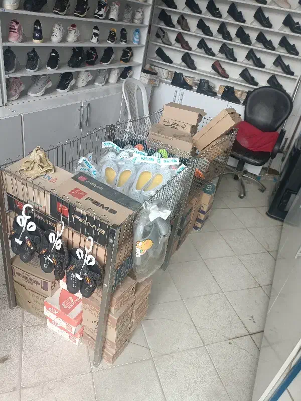 دکور کفش|کتابخانه، شلف، قفسههای دیواری|نیشابور, امام خمینی|دیوار