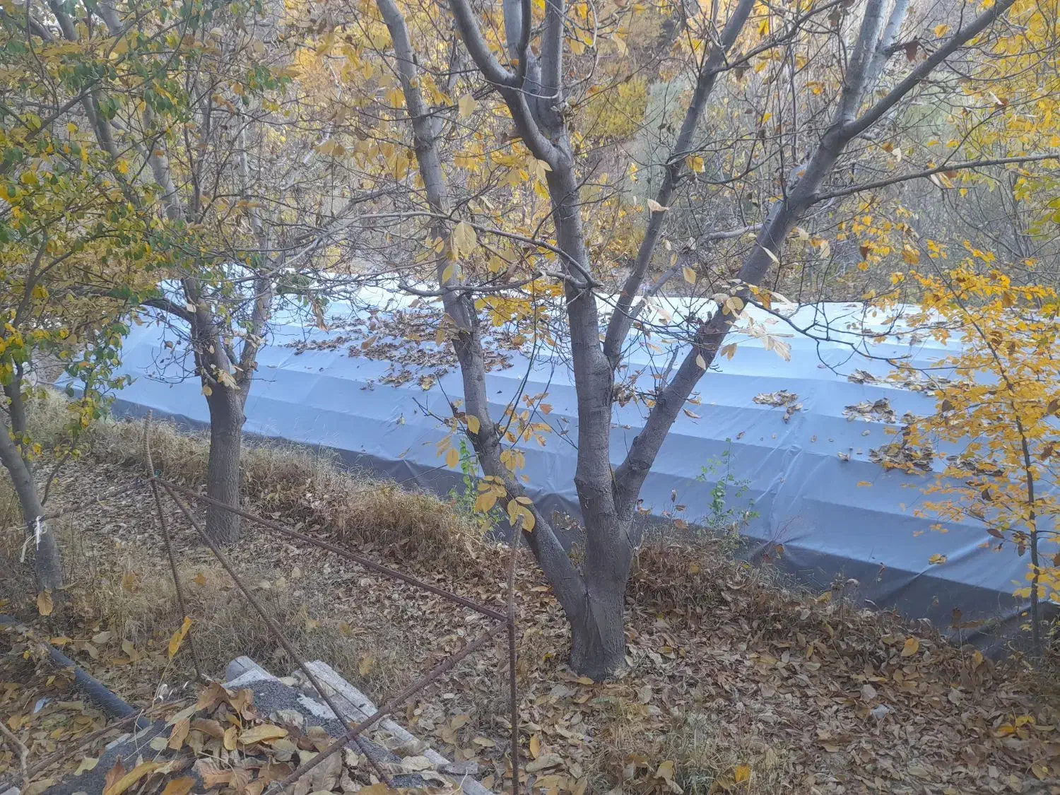 چادر مراسم|خدمات پذیرایی، مراسم|اسکو, |دیوار