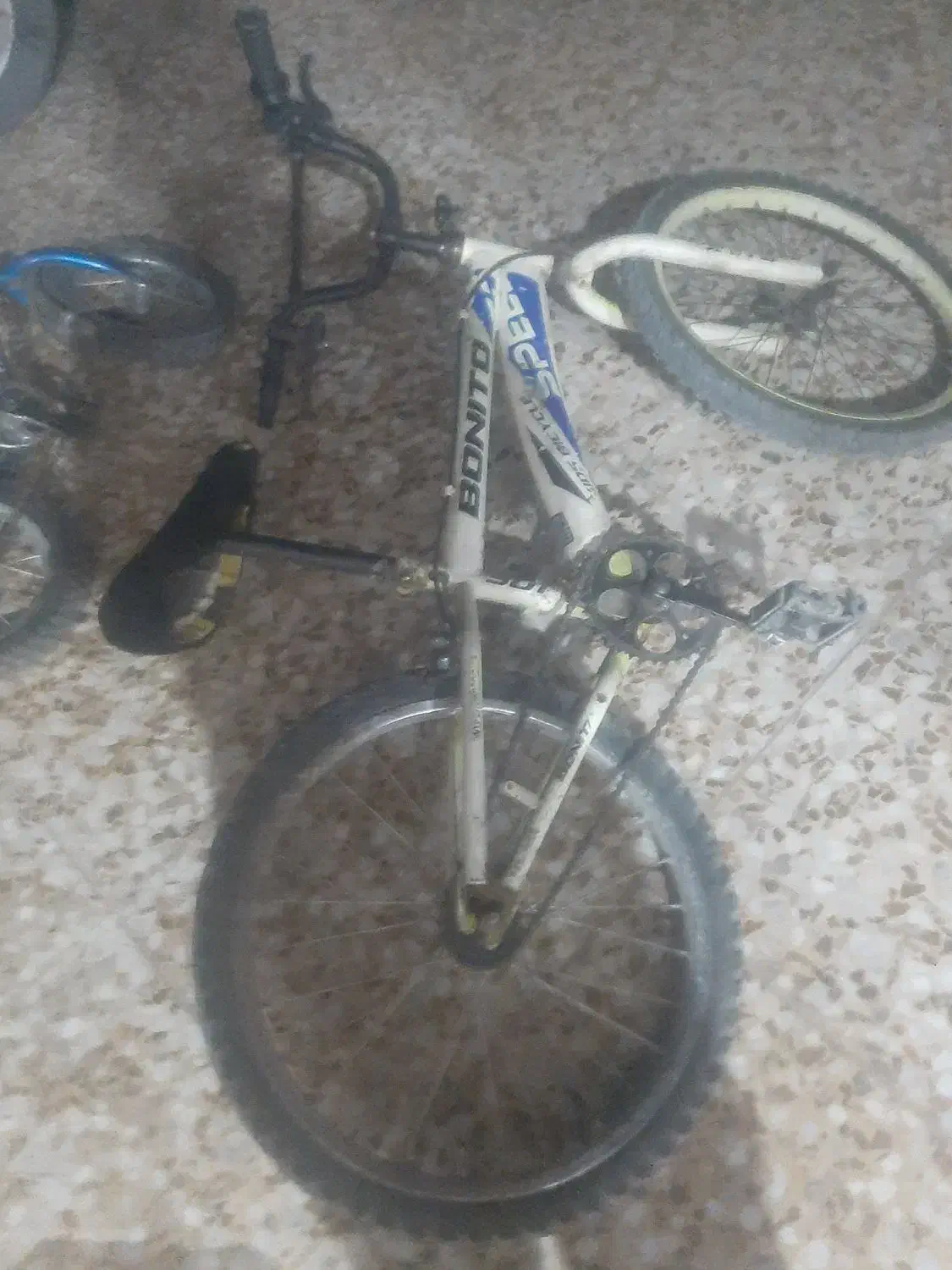 دوچرخه|دوچرخه، اسکیت، اسکوتر|دوگنبدان, |دیوار