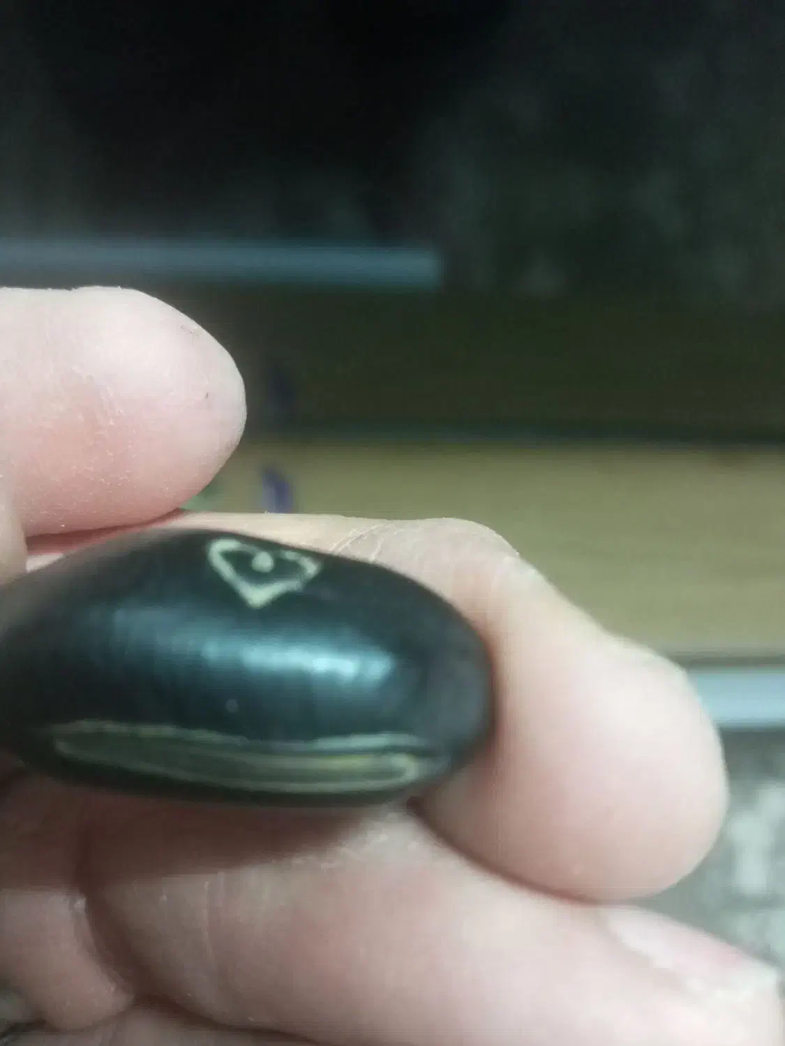 دونه سیاه( هسته عطیقه)|کلکسیون اشیاء عتیقه|گلبهار, شهر جدید گلبهار|دیوار