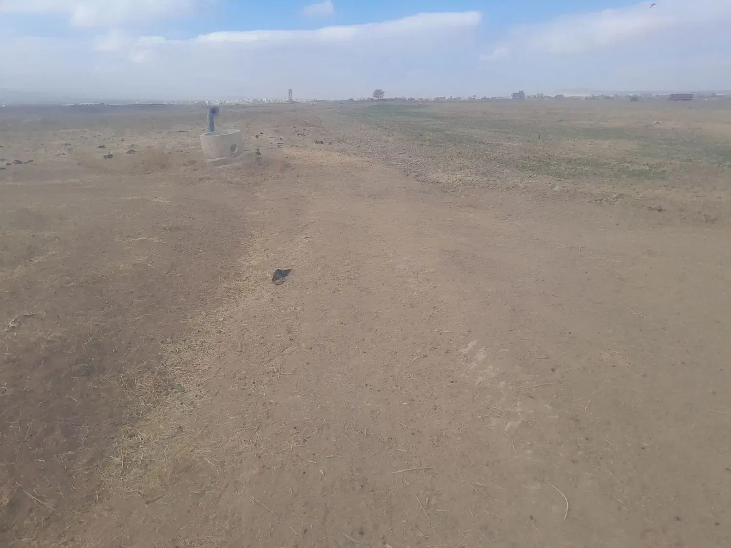 زمین کشاورزی ۸ هزار متر ۱۰۰متر حاشیه|فروش دفتر صنعتی، کشاورزی، تجاری|قوچان, |دیوار