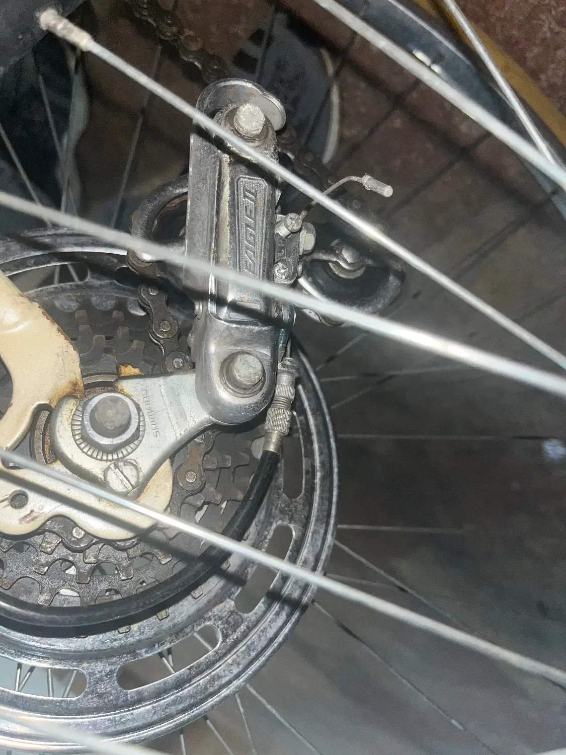 دوچرخه کورسی|دوچرخه، اسکیت، اسکوتر|تبریز, |دیوار