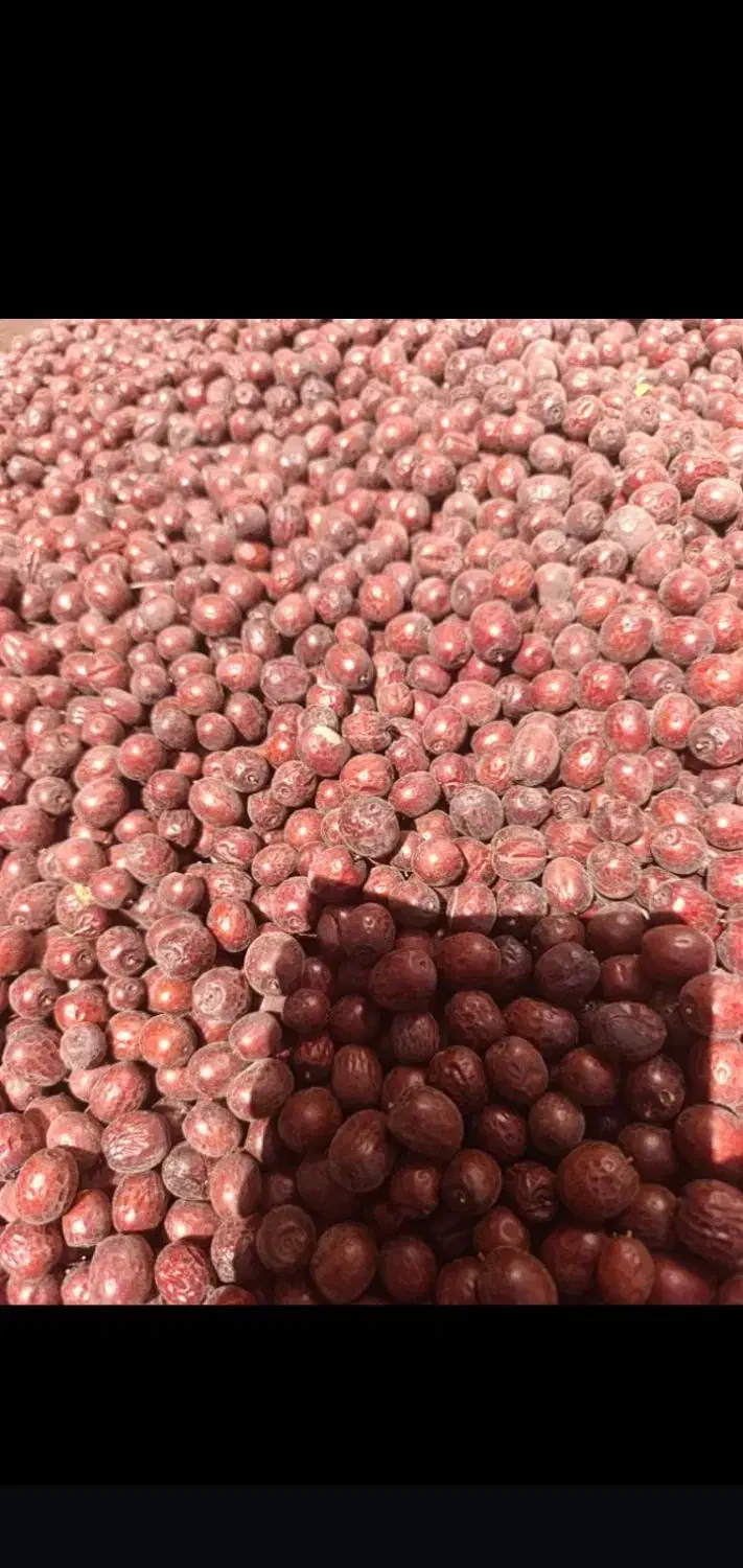 عناب خشک امسال درجه یک|خوردنی و آشامیدنی|لنده, |دیوار