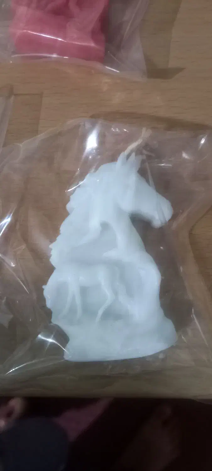 شمع اسب|مجسمه، تندیس، ماکت|گرگان, |دیوار