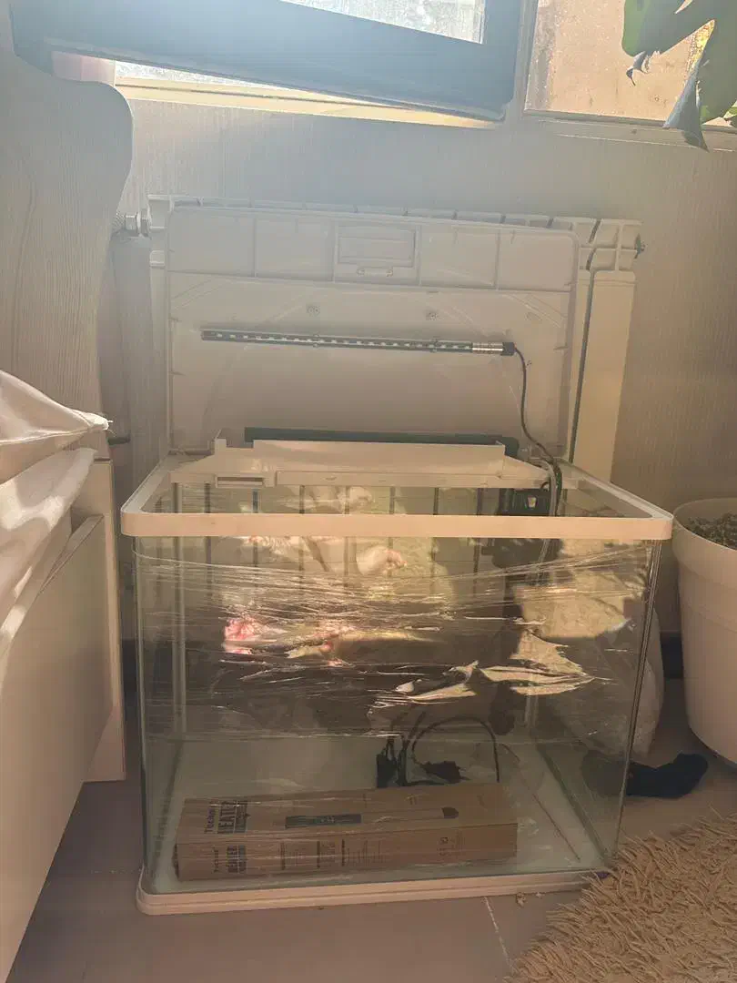 اکواریوم ماهیران|ماهی|تهران, جنت‌آباد مرکزی|دیوار