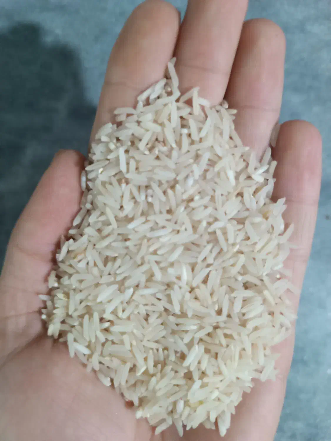 ۴کیسه ۵۰کیلویی برنج درجه یک بدونه شکستی|خوردنی و آشامیدنی|سیروان, |دیوار