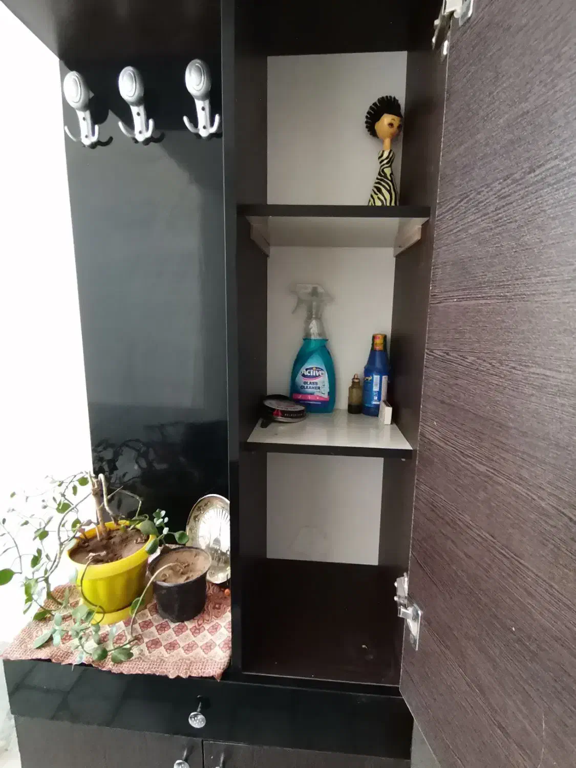 جاکفشی|جاکفشی، کمد، دراور|سبزوار, هویزه|دیوار