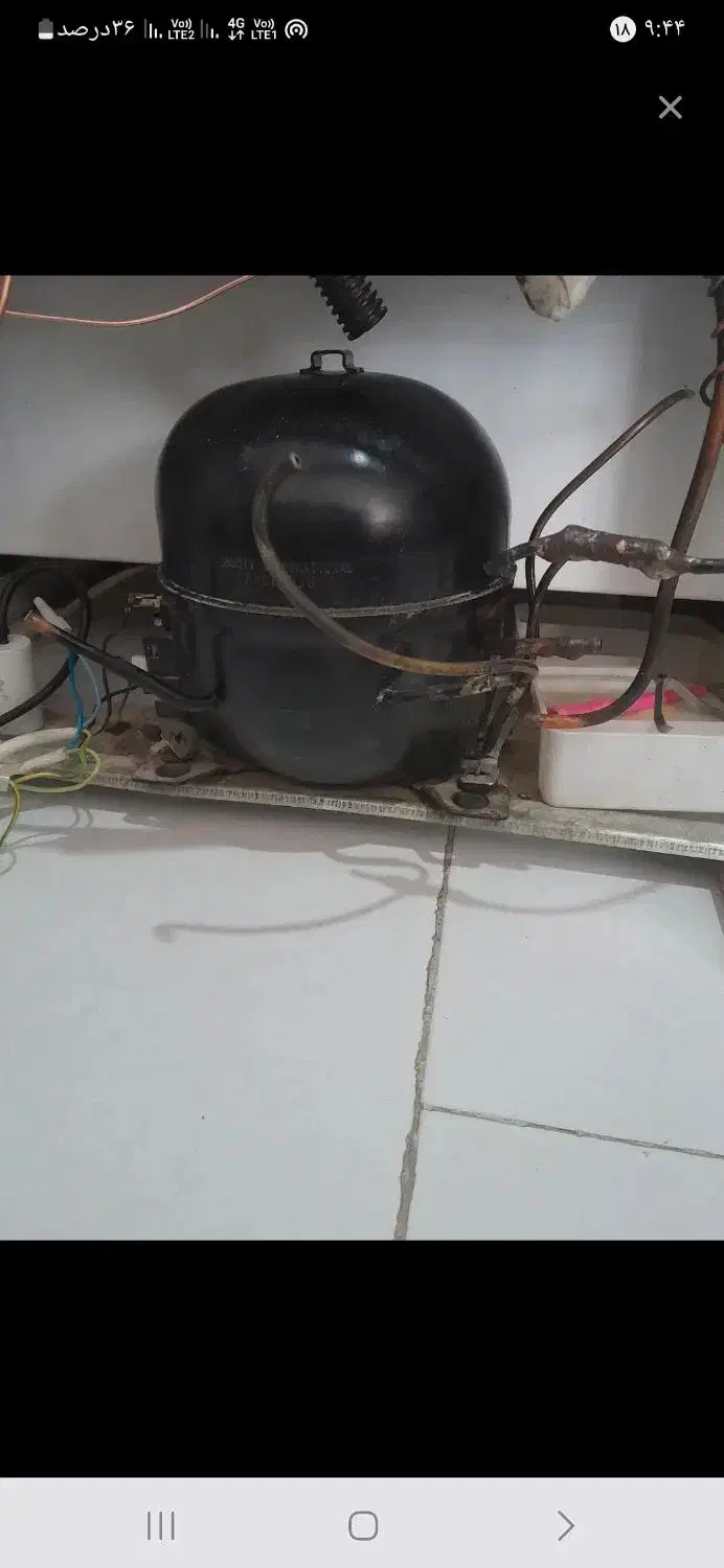 موتوریخچال|یخچال و فریزر|تربت جام, جامی|دیوار