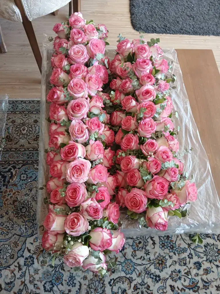 فروش گل رز لب ماتیکی|گل و گیاه طبیعی|پردیس, فاز ۲|دیوار