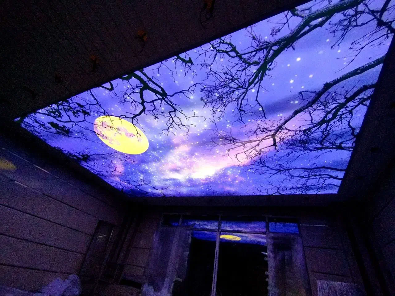 سقف های کشسان اسمان مجازی|خدمات پیشه و مهارت|شیراز, زند|دیوار