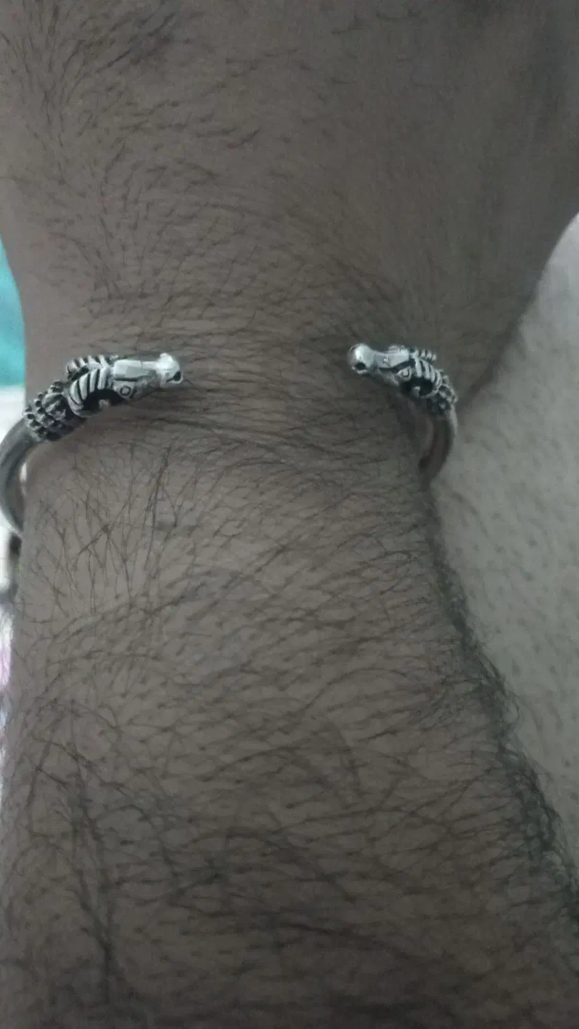 پالنگ یا دستبندنقره|بدلیجات|دزفول, |دیوار