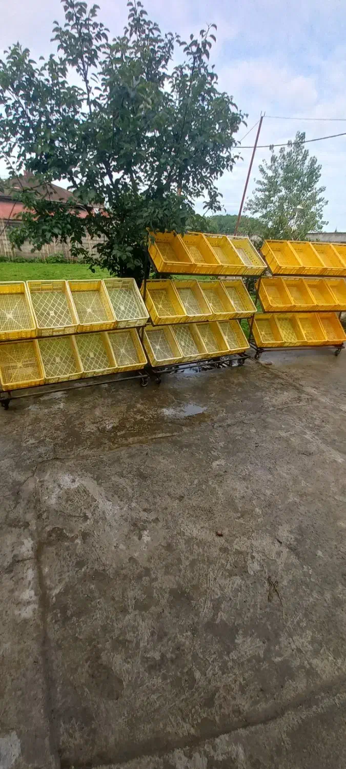 ۳ عدد استند میوه و فروشگاهی|فروشگاه و مغازه|شلمان, |دیوار