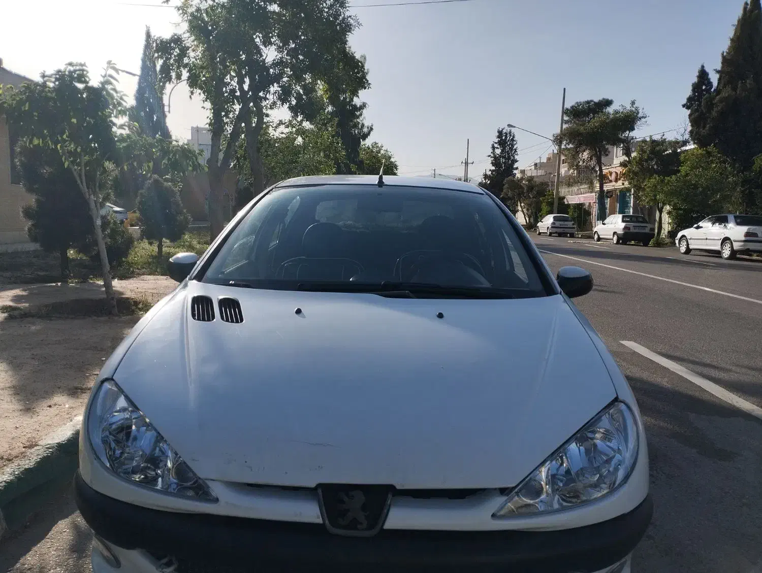 206 SD|خودرو سواری و وانت|شیراز, مسلم|دیوار