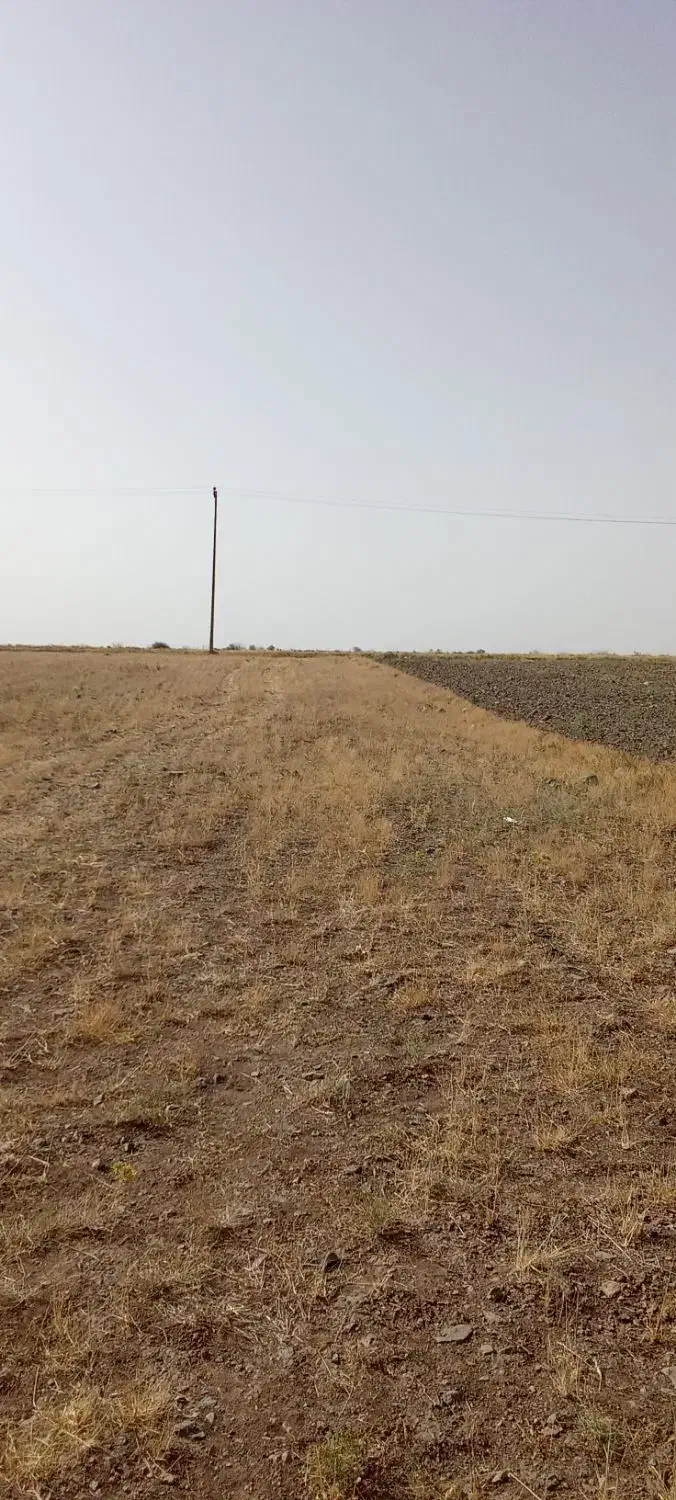 زمین باغی1800مترلب جاده معامله میکنم|فروش زمین و ملک کلنگی|قره پشتلو, |دیوار