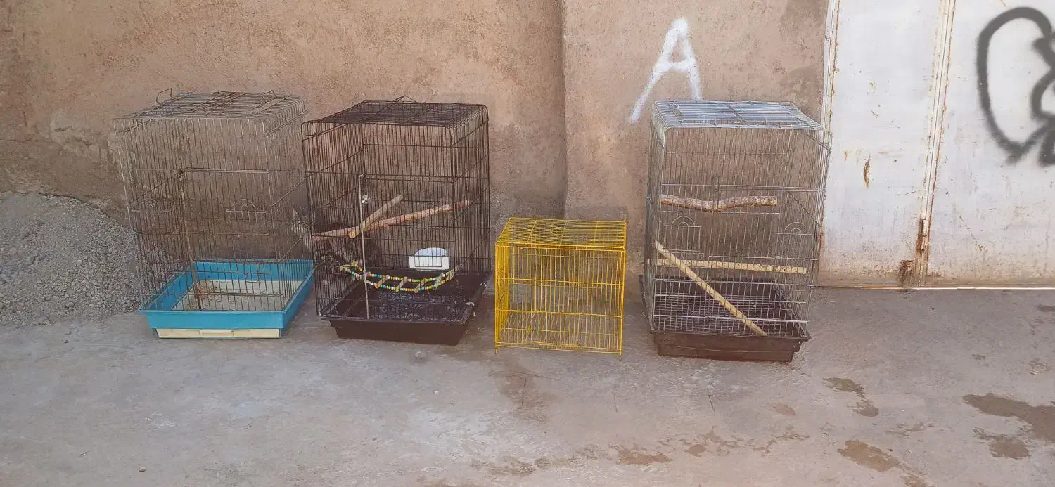 قفس بزرگ|لوازم جانبی حیوانات|خوی, |دیوار