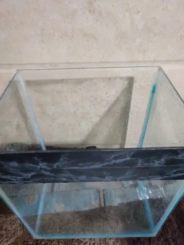 آکواریم و وسایل جانبی آکواریم|ماهی|اراک, |دیوار