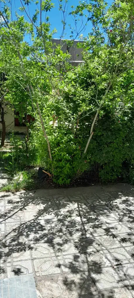 فروش ساختمان در شوط|فروش خانه و ویلا|شوط, |دیوار