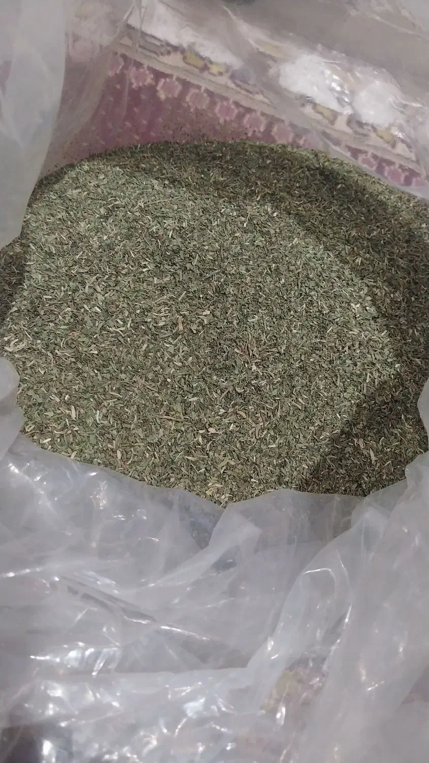 چوچاق خشک شده موجوده هر۱۰۰ گرم ۲۵۰تومان|حراج|عباسآباد, |دیوار