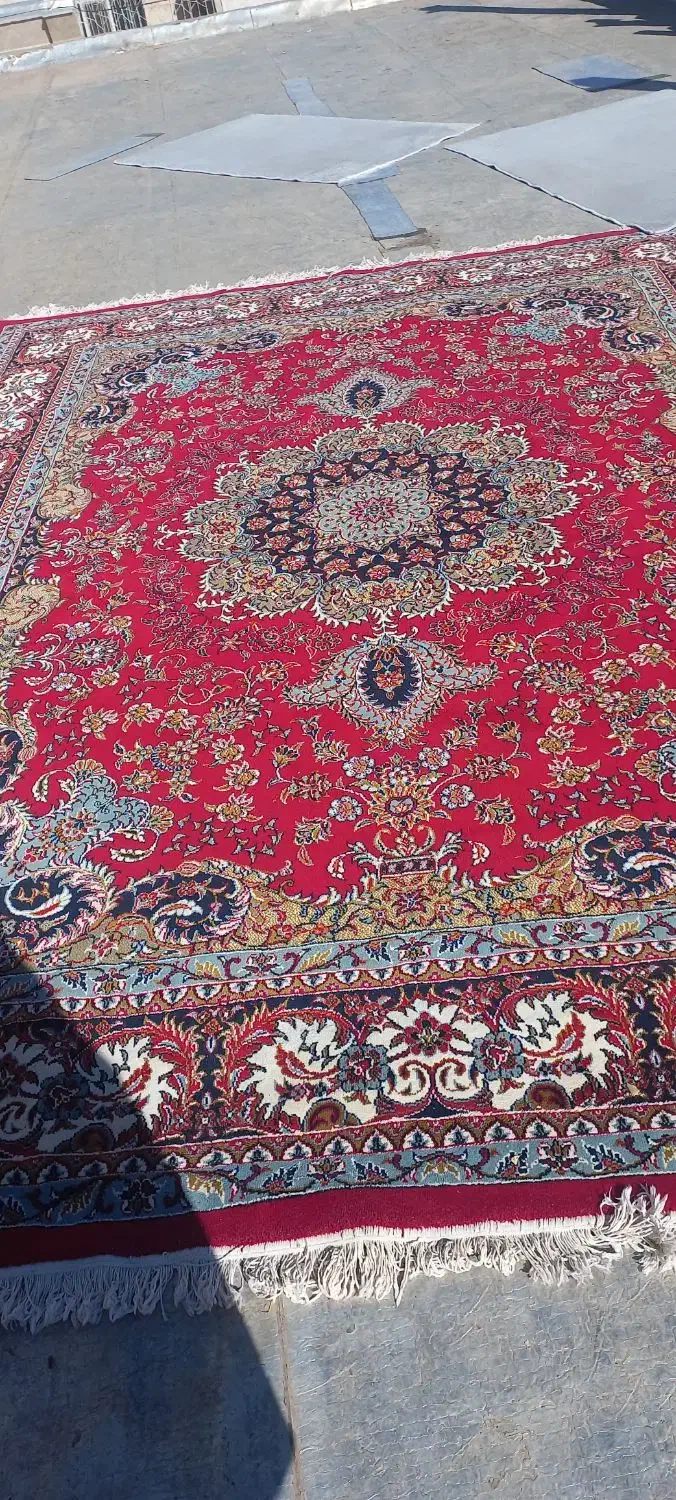 قالی|فرش|بیرجند, |دیوار