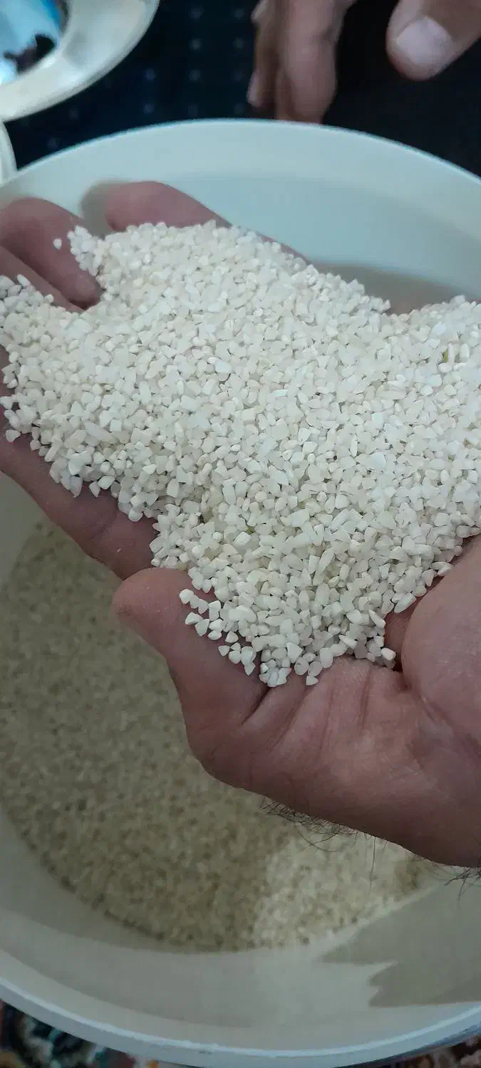 برنج نیم دونه عنبربو خوش عطر و خوش طعم|خوردنی و آشامیدنی|ماهدشت, |دیوار