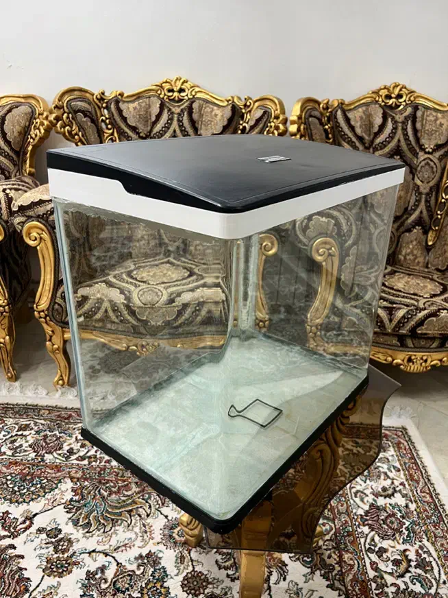 آکواریوم دلسا شرکتی|ماهی|اراک, |دیوار