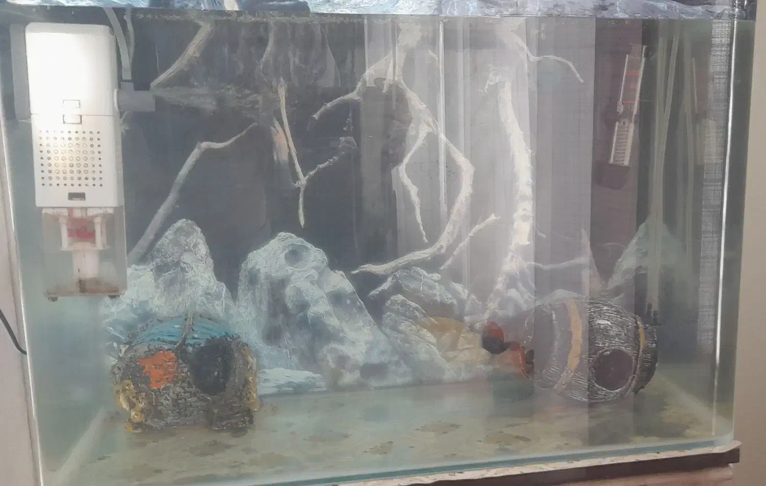 اکواریوم|ماهی|خرمآباد, |دیوار