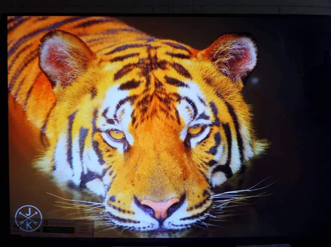 گیرنده دیجیتال جدید 4K|صوتی و تصویری|شیراز, حافظیه|دیوار