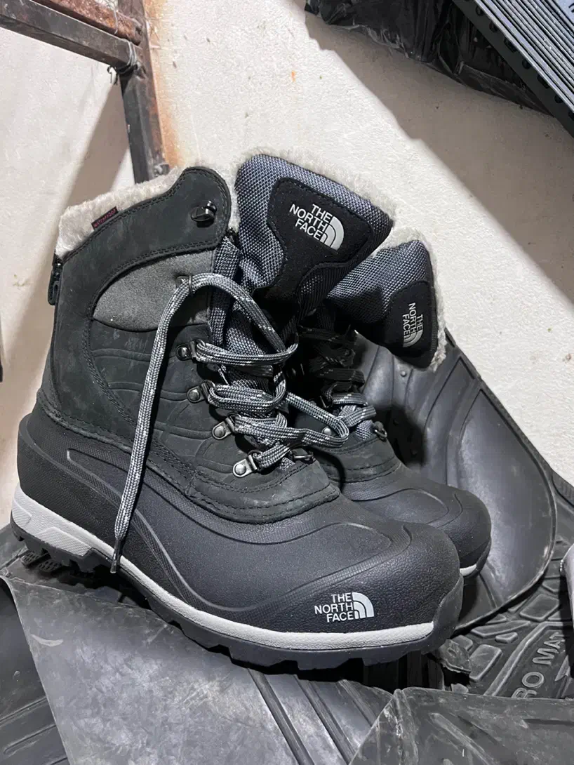 بوت کوهنوردی|کیف، کفش، کمربند|ری, فیروزآبادی|دیوار