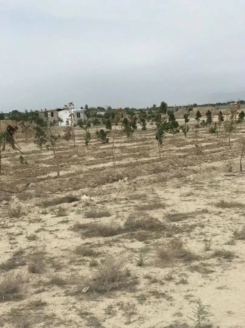 زمین قشلاق مهرچین ۷۵۰متر|فروش زمین و ملک کلنگی|شهریار, بکه|دیوار